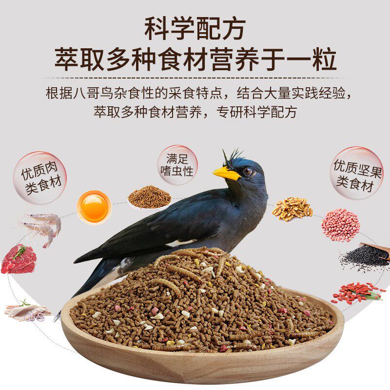 开元全价八哥鸟食牛肉虫干林八哥专用鸟粮饲料海八哥营养亮羽鸟料 - 实物图