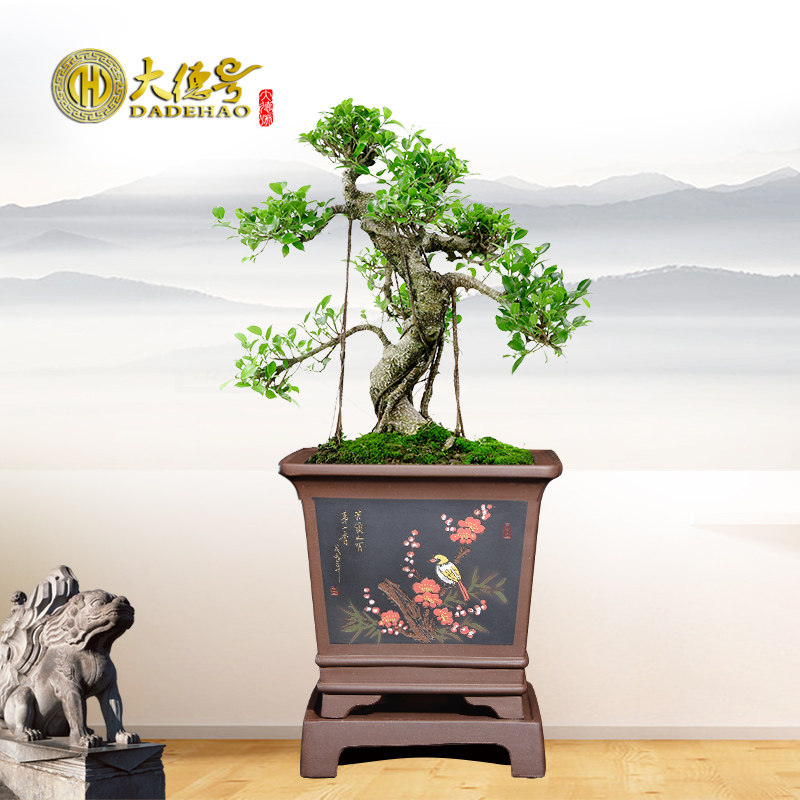 四方形紫砂花盆带托盘手工泥绘精工刻绘盆景盆特大号君子兰兰花盆