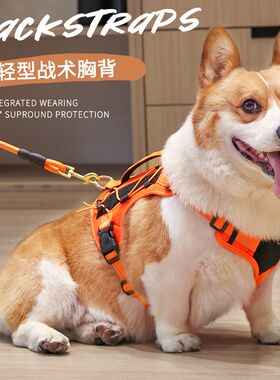 柯基犬牵引绳背心式防爆冲宠物狗胸背带中大型犬金毛边牧遛狗绳子