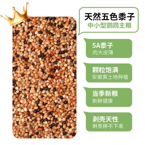 珍珠鸟专用鸟粮营养文鸟混合鸟食五色黍子十姐妹鸟食七彩麻雀饲料