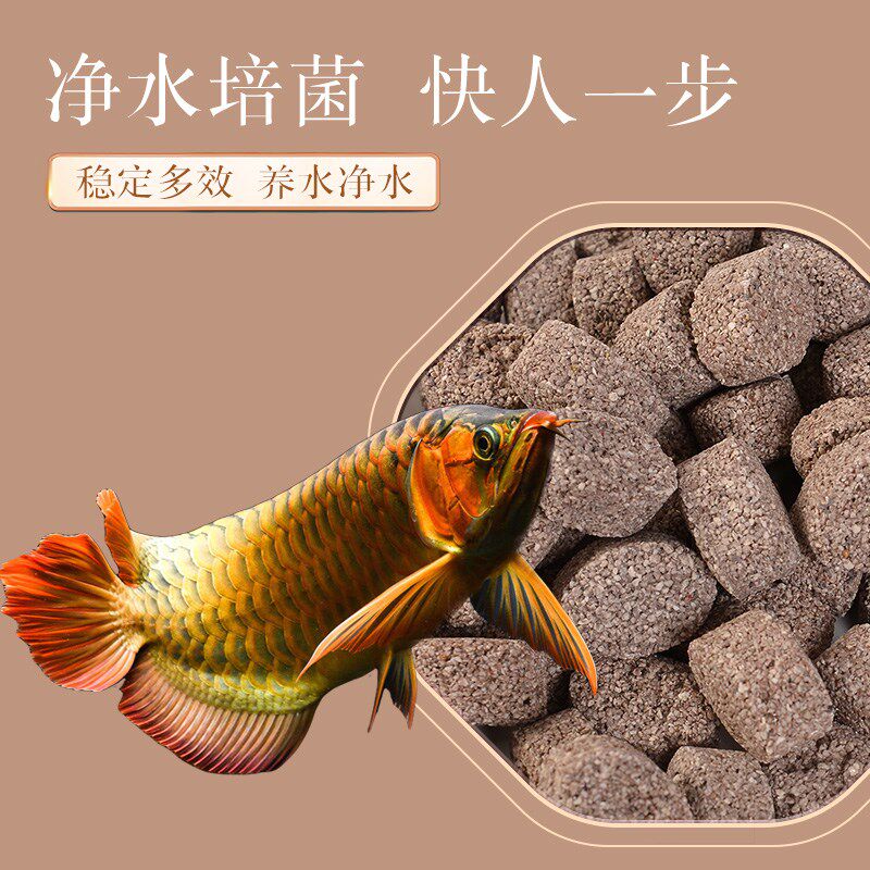 鱼玹玑橄榄球滤材原矿球过滤材料底滤缸滴流盒培菌生化净水细菌屋