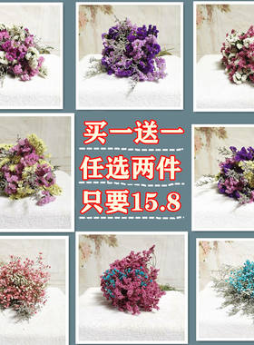 【买一送一】云南勿忘我风干真花干花花束满天星客厅装饰摆件插花