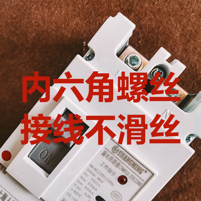 CM1LE单相漏电断路器63A 100A 125A 160A 250A塑壳漏保220V空开2P