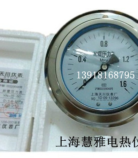 耐震压力表YN-100ZT轴向带边压力表0-1/1.6/2.5/4/6MPA 上海天川