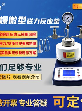 微型磁力高温高压反应釜内衬智能数显自动搅拌高压釜不锈钢防爆