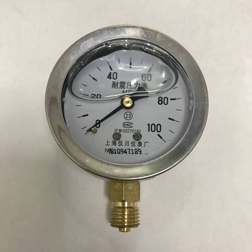 耐震压力表 YN60 100mpa 直径60mm 螺纹m14x1.5 外壳62-69mm 径向