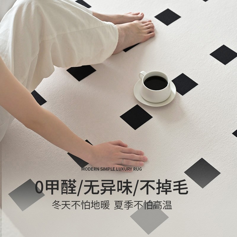 地毯客厅2026新款轻奢高级黑白格子免洗可擦卧室床边沙发茶几地垫