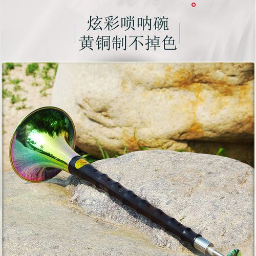 唢呐乐器初学者 d调全套专业黑檀乌木花梨木小号锁呐配件齐送哨片