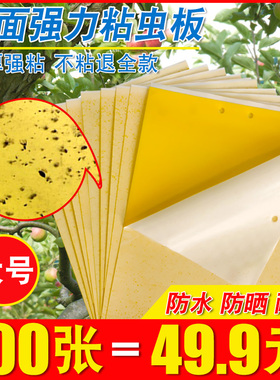 粘虫板黄板诱虫板纸贴双面黄色沾黏蚊子杀黑虫胶灭小飞虫果蝇大棚