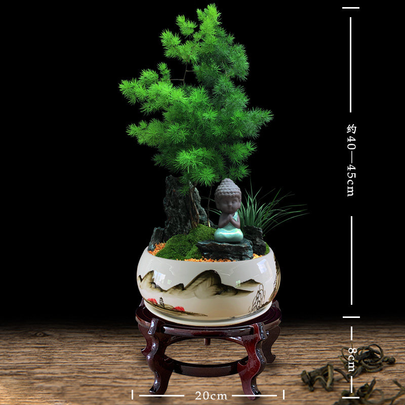 蓬莱松盆栽植物室内大客厅招财四季绿植花卉办公室好养易活真盆景