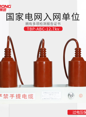 高压三相三柱式组合过电压保护器10KV三相四柱TBP-ABC-12.7KV/131