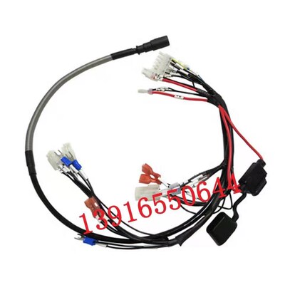 诺力叉车配件天罡1.5吨锂电搬运车PTE15N主控制线束508033010000
