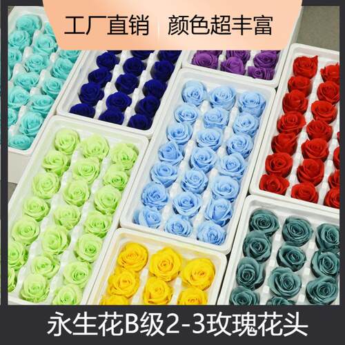 幻花永生花B级2-3玫瑰花材干花摩天轮玻璃罩七夕diy花头材料