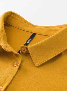 精梳女棉长绒小领棉质打底衣针织棉基方础款春秋长袖衬衬衫XLP职