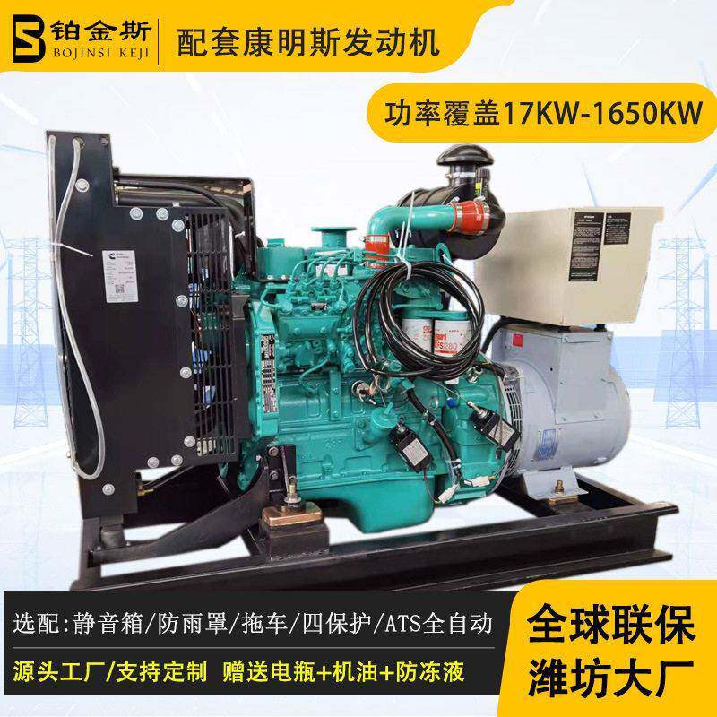 康明斯发动机配套的40KW柴油发电机组全铜无刷养殖孵化备用发电机