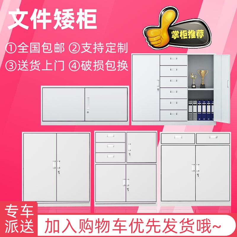 广东省中山市办公文件柜矮柜拆装带锁多门柜资料档案柜更衣储物柜