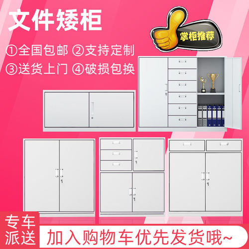 广东省中山市办公文件柜矮柜拆装带锁多门柜资料档案柜更衣储物柜