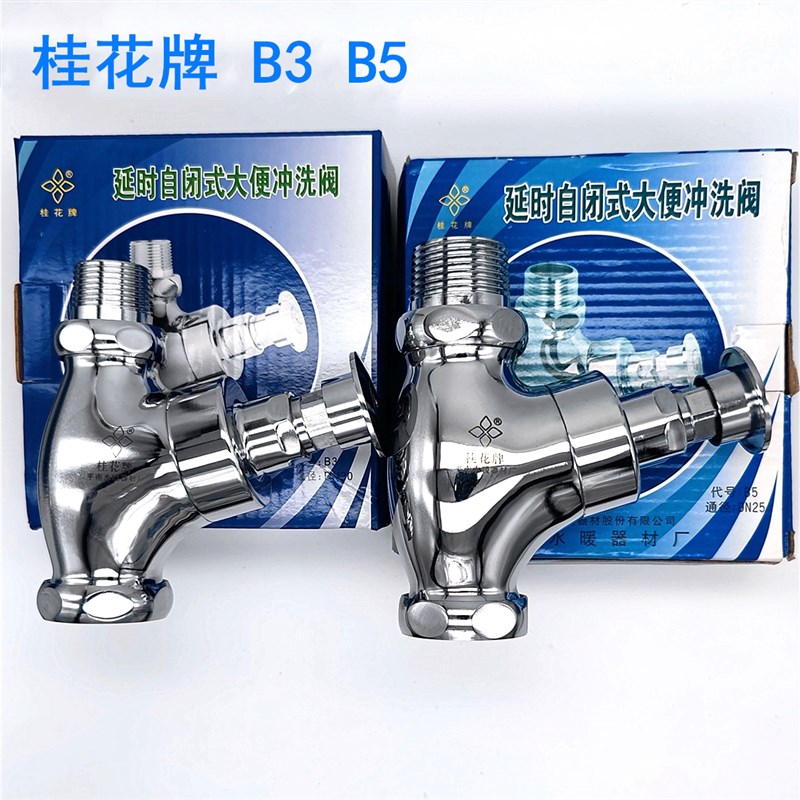正品桂花牌冲洗阀冲水阀自闭式大便阀手按式全铜延时厕所B3 B5