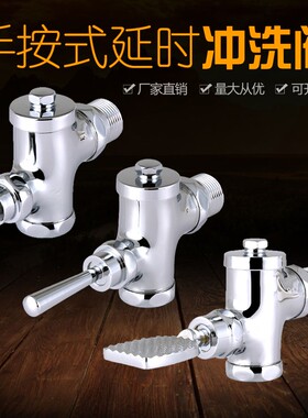 直立式入墙延时大便冲洗阀蹲便器手按冲水阀全铜厕所阀门自闭开关