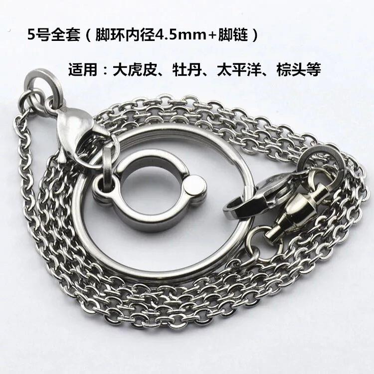 不锈钢大型鸟类链 鹦鹉脚链 开口活动脚环 鸟类站架配链 鹦鹉用