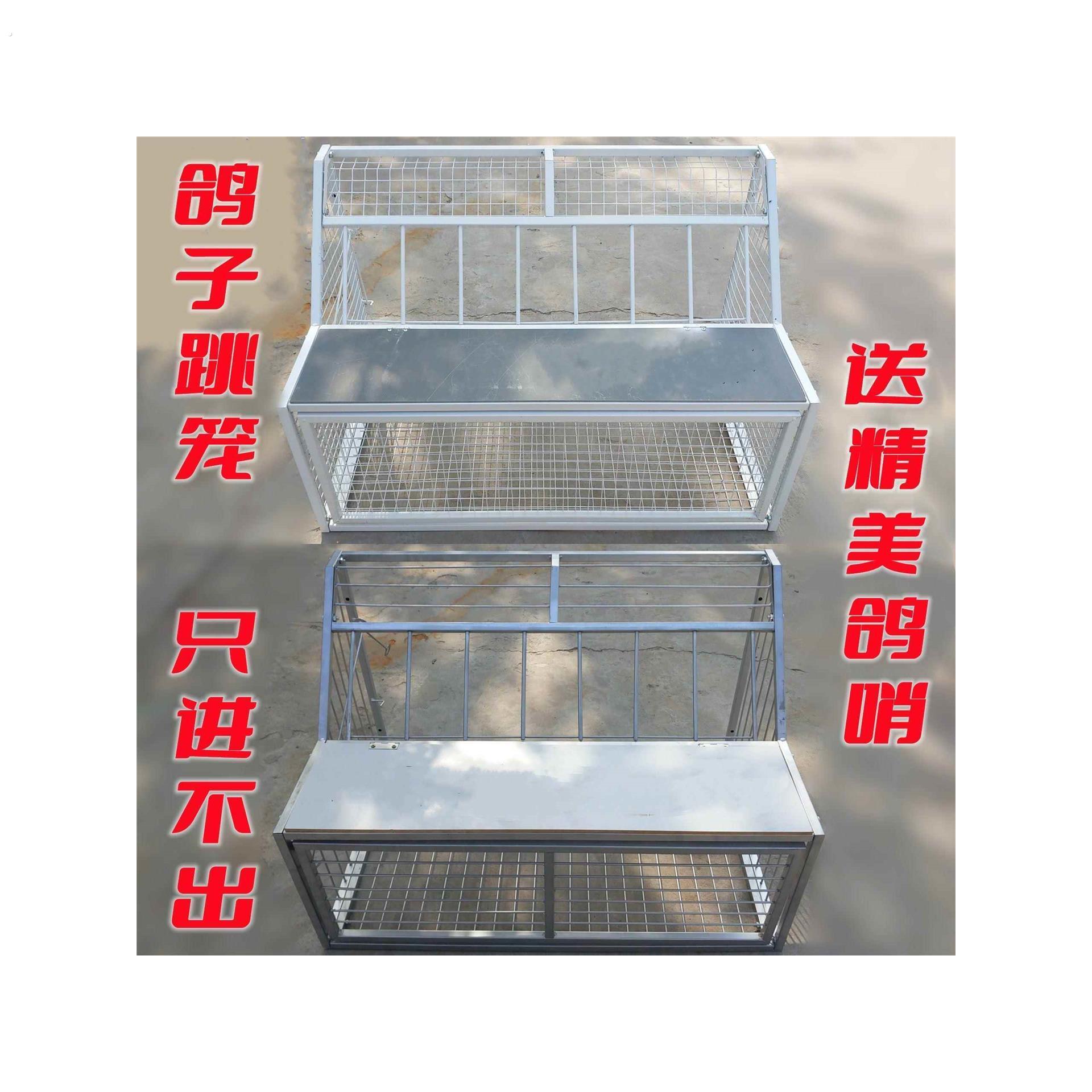 家用房顶鸽子跳笼只进不出跳门养殖笼户外信鸽棚养鸽子放飞神器厂