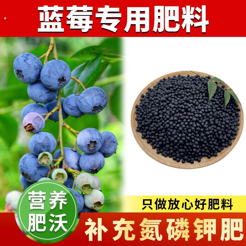 蓝莓专用肥家庭盆栽蓝莓肥料专用肥蓝莓树肥料阳台种植有机颗粒肥