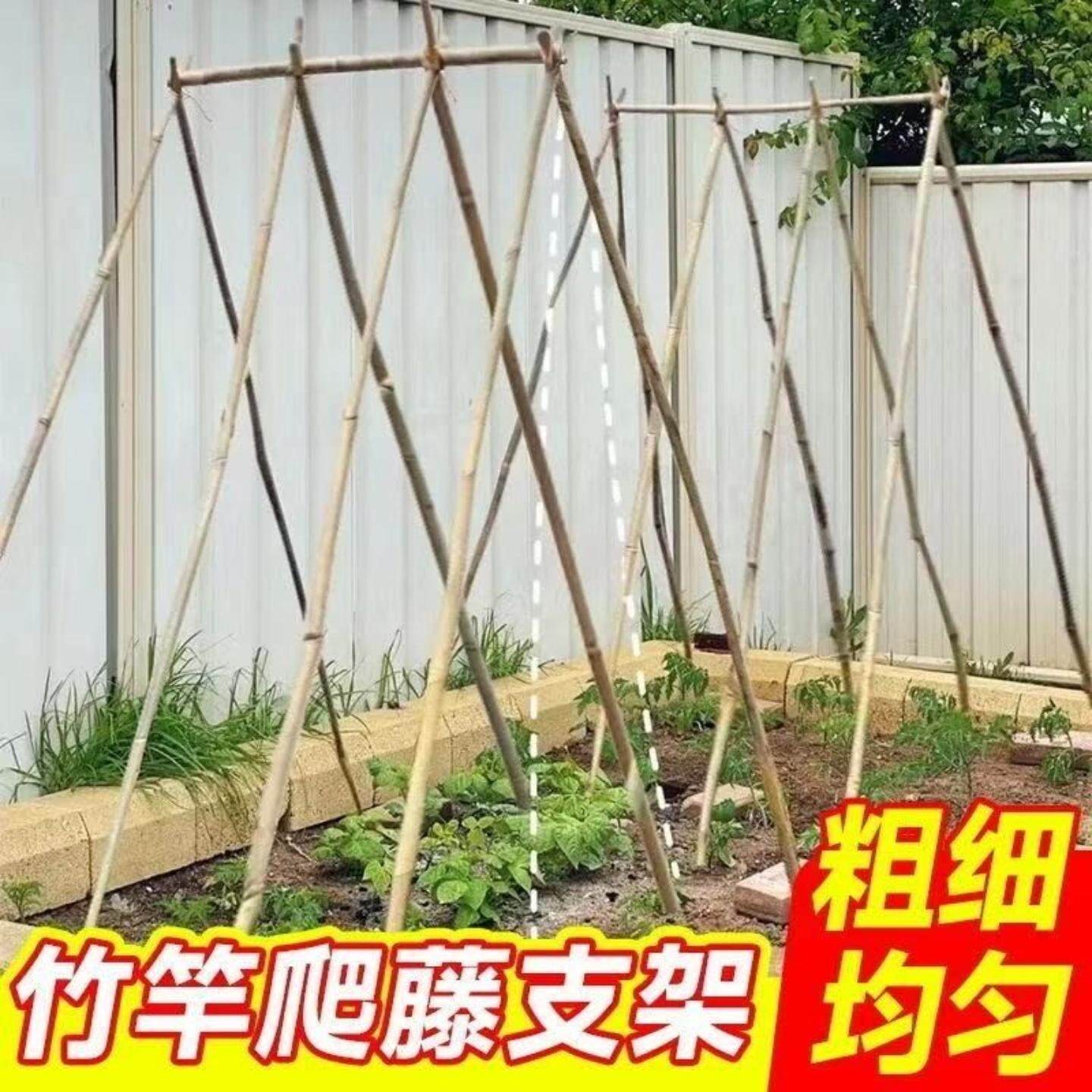 架杆种菜家用竹竿菜园搭竹子户外