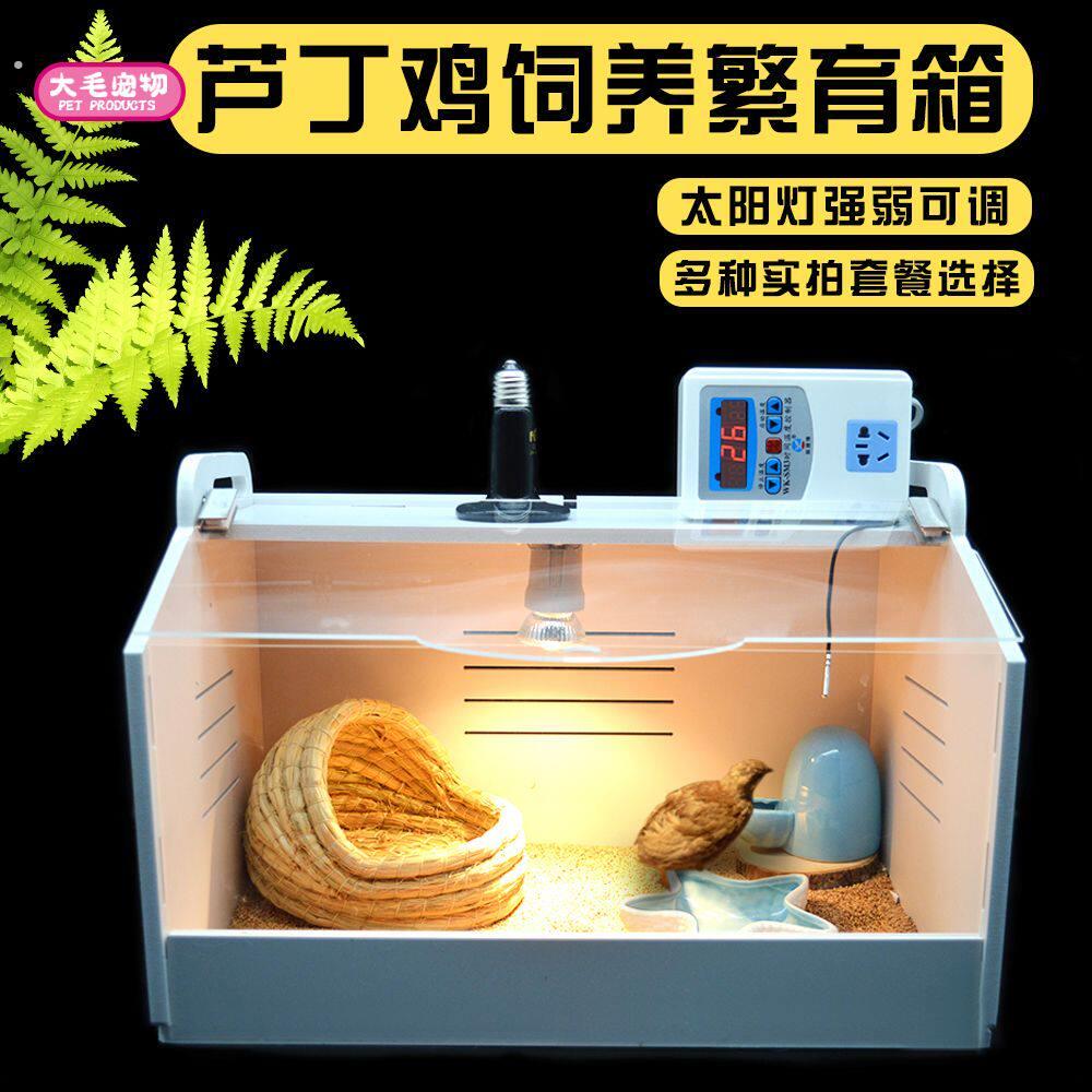芦丁鸡保温箱育雏鹌鹑鸽子小鸭鸟类鹦鹉乌龟刺猬饲养饲养温繁殖箱