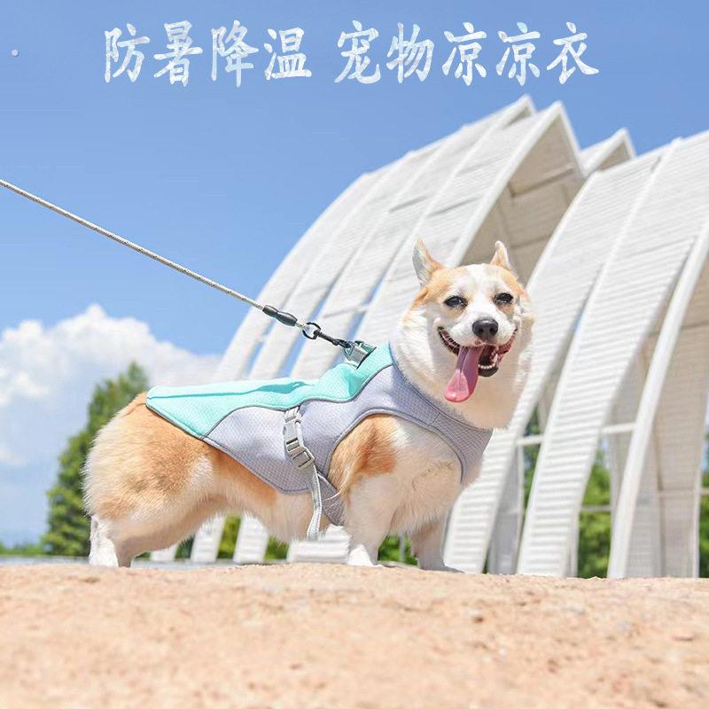 透气降温宠物凉凉衣防暑背心降温服亚马逊宠物服饰防暑散热狗衣服