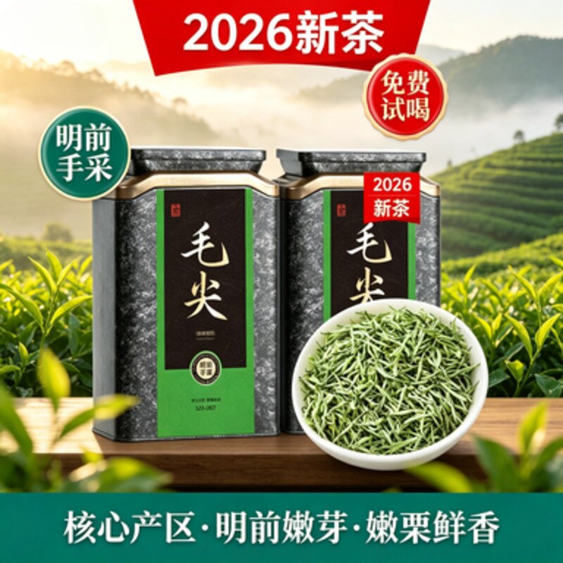 2026明前新茶毛尖绿茶嫩栗回甘