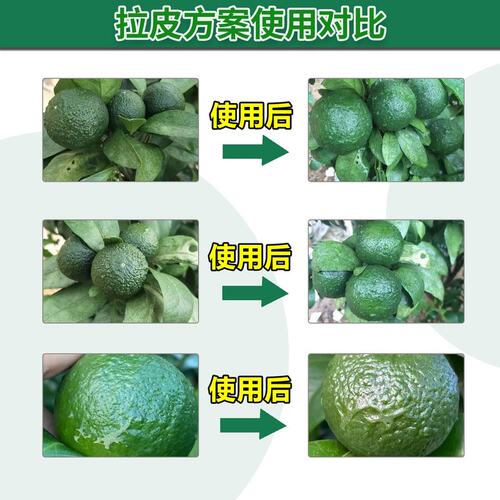 柑橘动力拉皮方案钙镁硼锌改善粗皮减少裂果膨果营养套餐