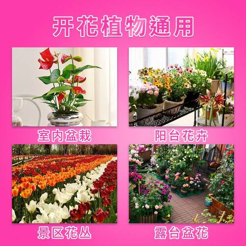 家庭园艺开花素营养液花卉专用观花植物通用型冒花素催花养花肥料