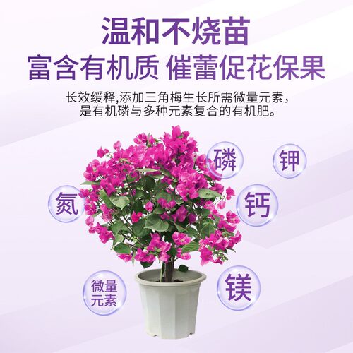 【三角梅专用肥】营养粒促花促芽爆花颗粒缓释营养颗粒开花有机肥
