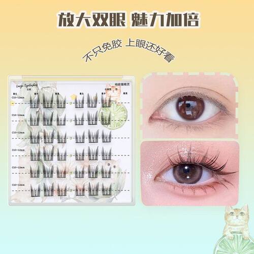 【免胶综合】纯欲猫精灵免胶假睫毛自然仿真柔软可爱分段式假睫毛
