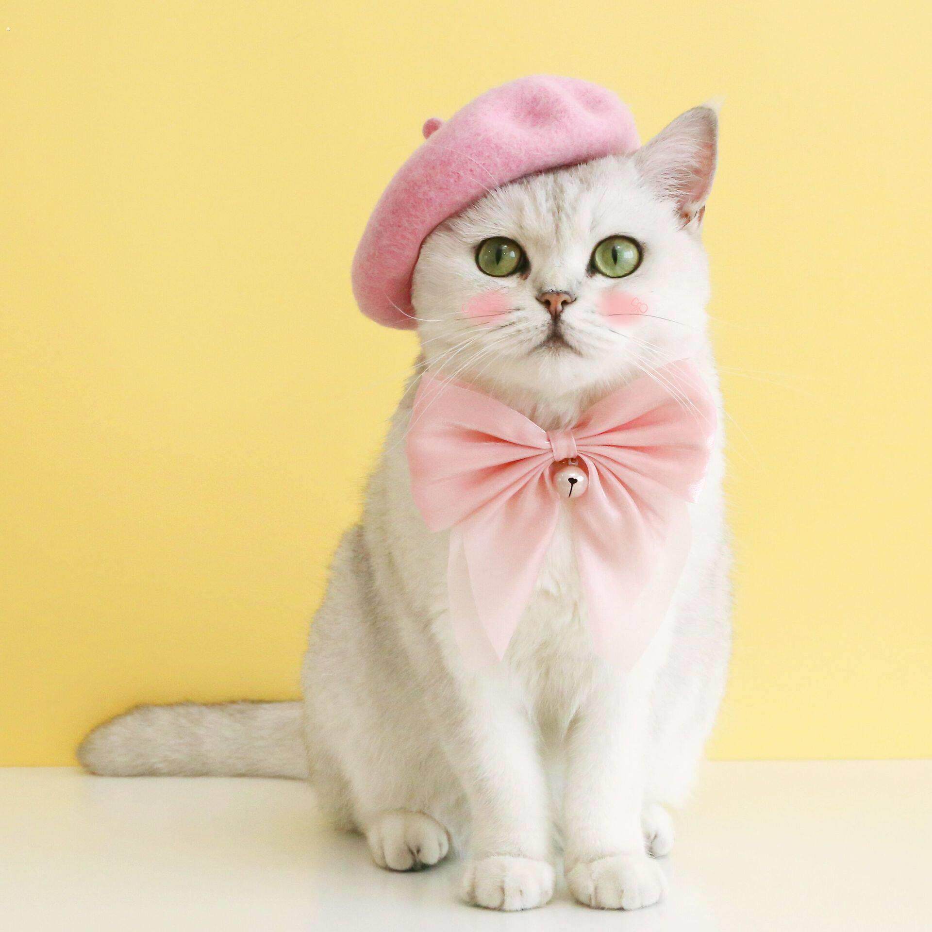 宠物猫咪狗狗生日新年丝绒大蝴蝶结项圈梦幻铃铛领结可调节颈链