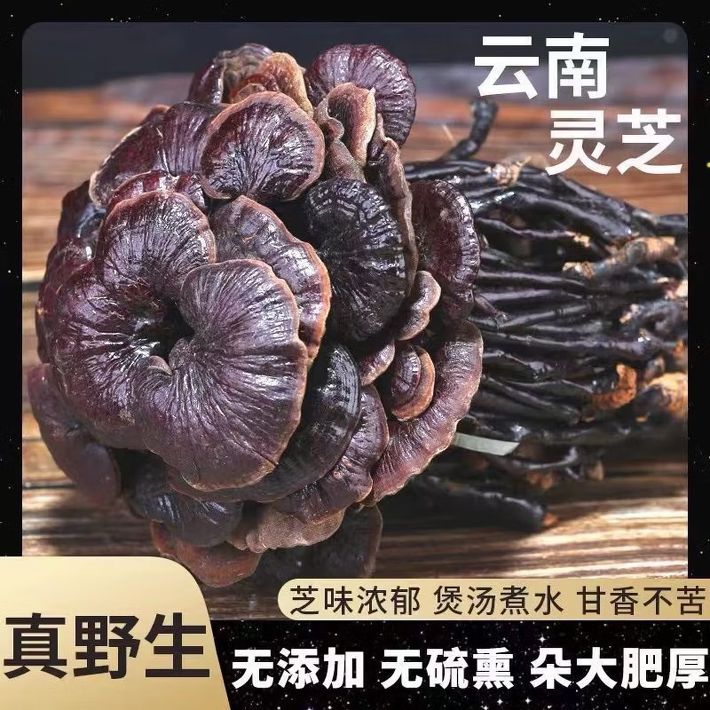 云南深山野生特级竹灵芝干货