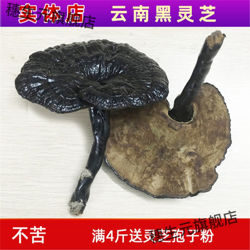 黑灵芝云南深山整朵林下