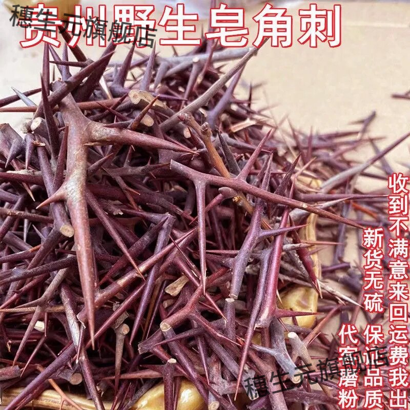 正宗野生皂角刺新鲜现摘包邮