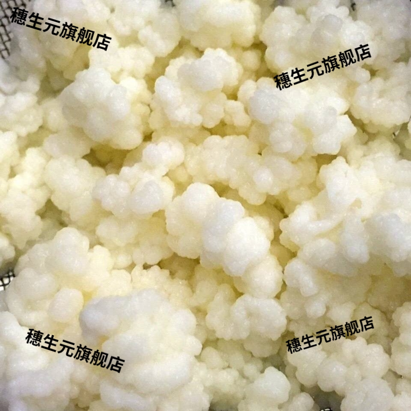 西藏雪莲菌种灵菇天山酸奶