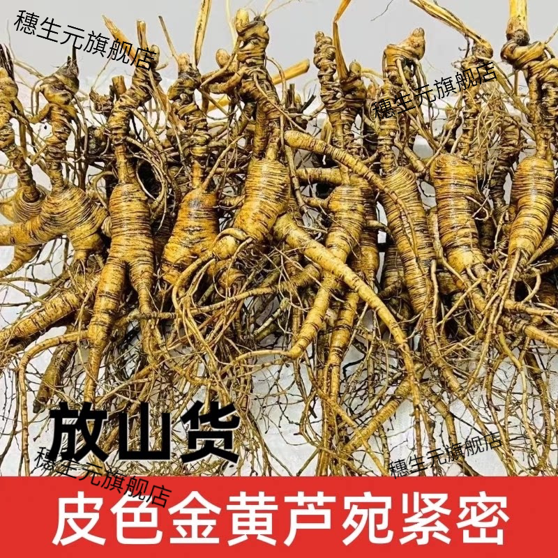 长白山林下参鲜参带土泡酒煲汤