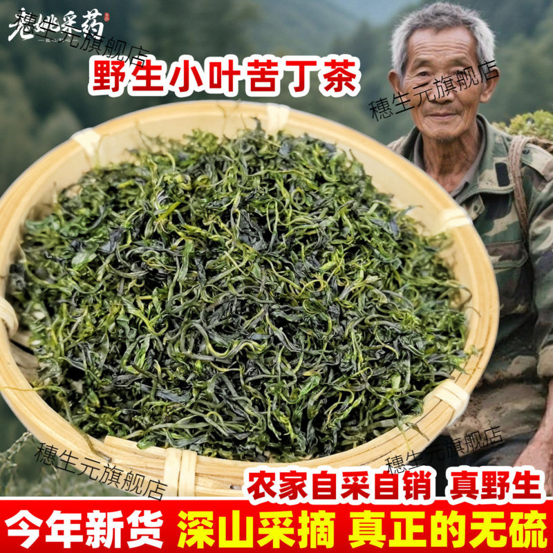 特级小叶苦丁茶材嫩芽头采