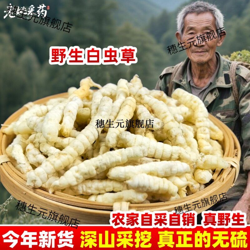白虫草地蚕土冬参石云南