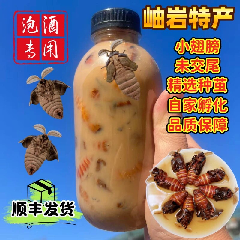 辽宁岫岩正宗雄蚕蛾公蛾泡酒料