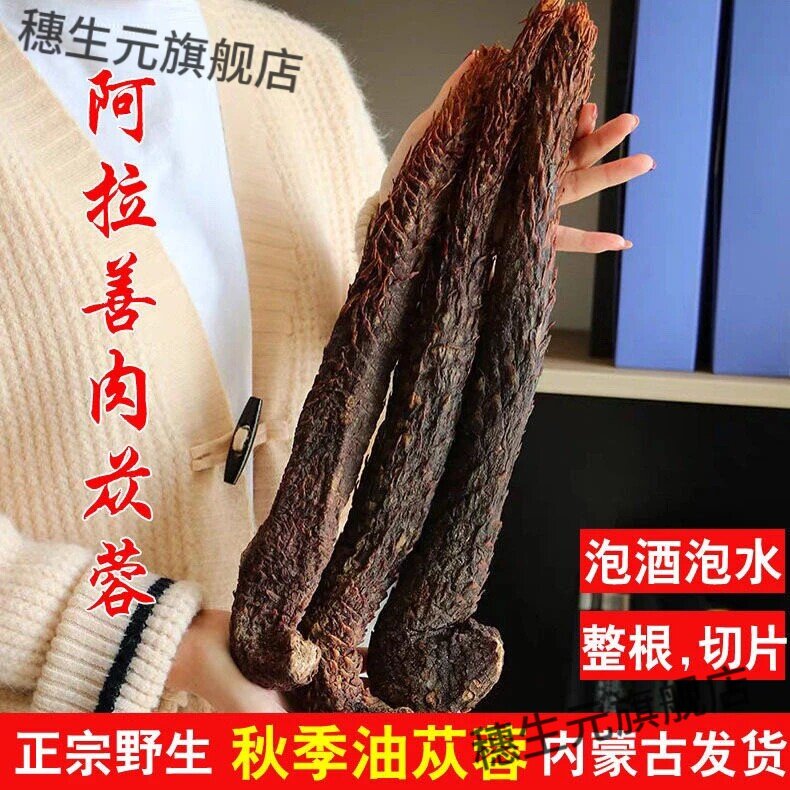 阿拉善野生肉苁蓉整根泡茶泡酒