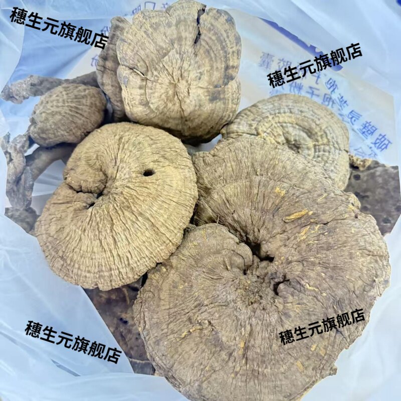 云南野生黑灵芝皱盖500g