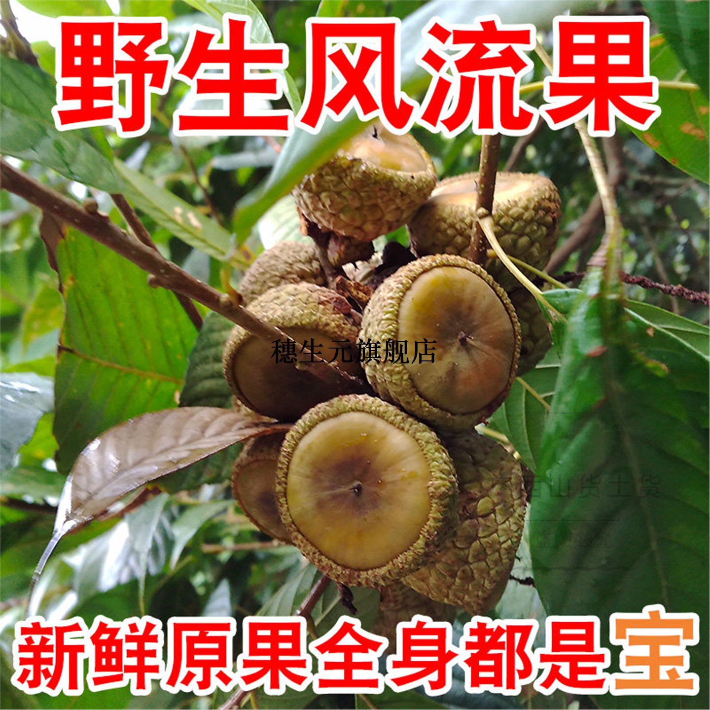 无硫天然野生风流果500g新