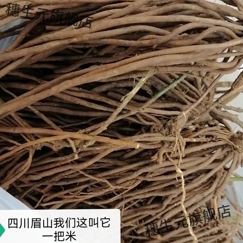 四川野生新鲜现挖威灵仙纯根1斤