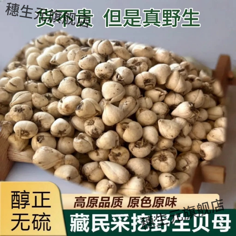 西藏野生无熏硫藏贝母正品