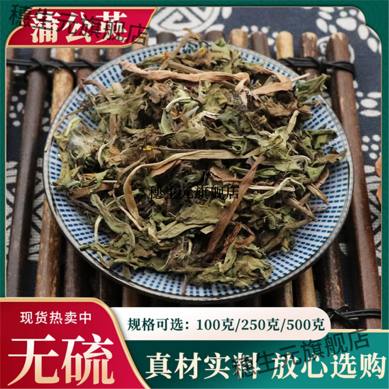 蒲公英500g材女性新鲜浦根