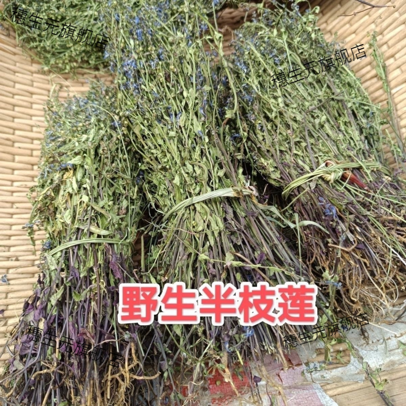 野生半枝莲晒干当季新货